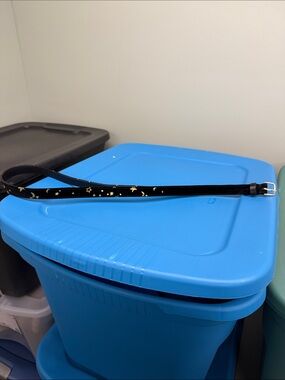 Black Belt with Gold Star Accents
